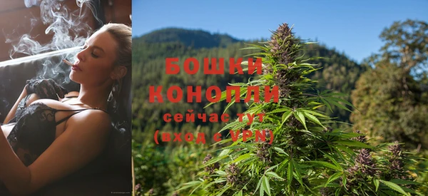 прущие крисы Беломорск