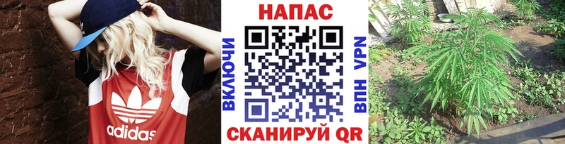 hydra как войти  Кубинка  Конопля ГИДРОПОН 